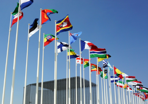 UNHLM UNGA80