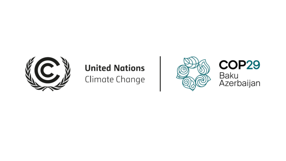 UN COP29 logo